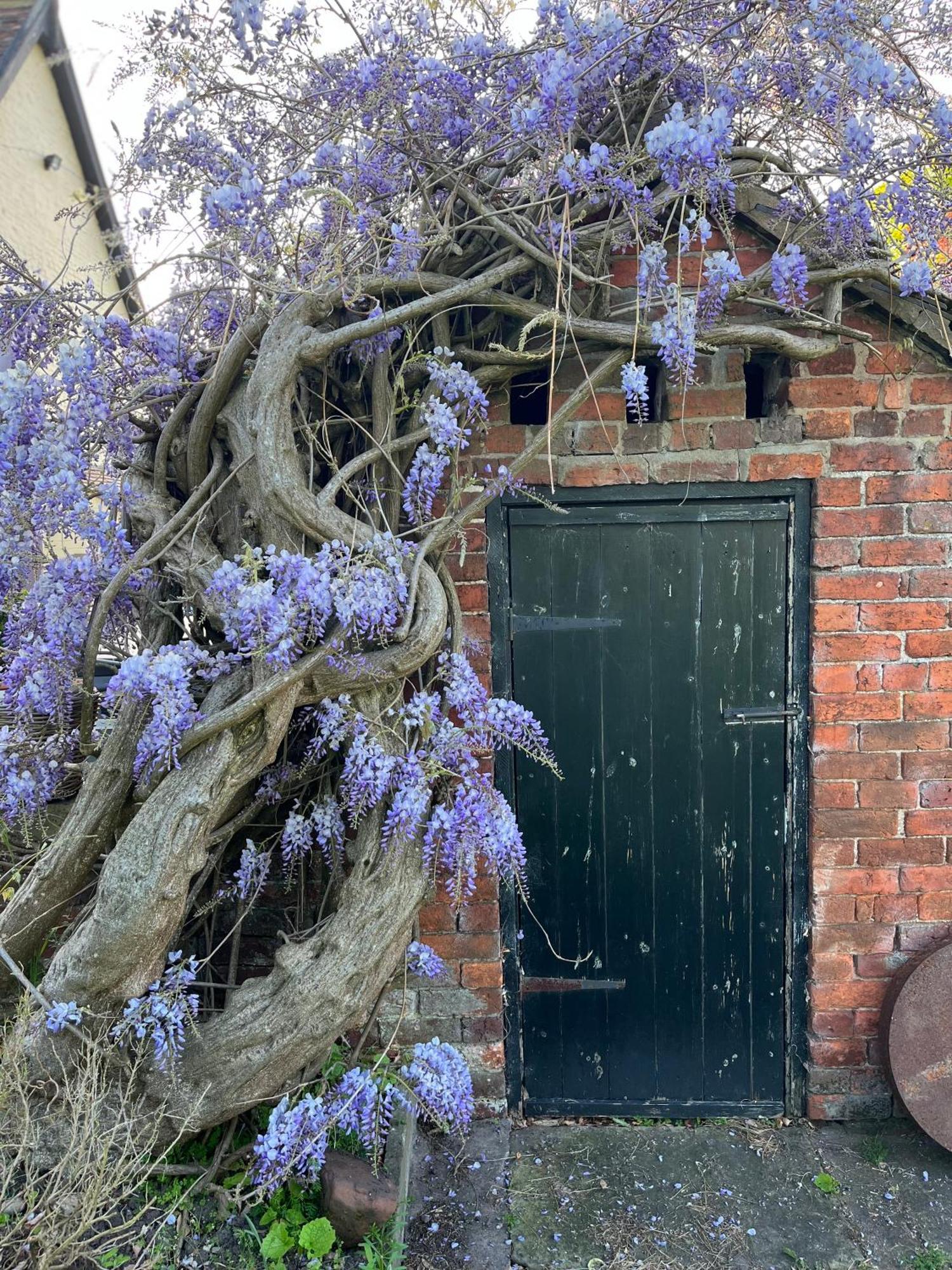 LoppingtonSpenford House 1640 Listed House Idilic Location Pub Walking Distance住宿加早餐旅馆 外观 照片